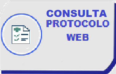 CONSULTA PROTOCOLO